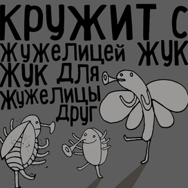 Жук и жужелица