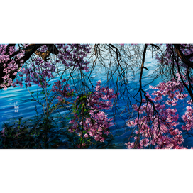 🌸