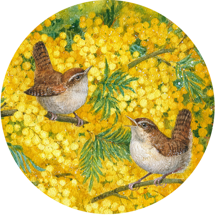 Крапивнички