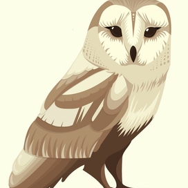 совушка сова