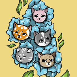 Котик-гладиолус