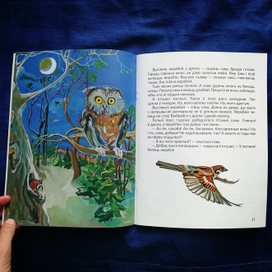 Сова и Воробей