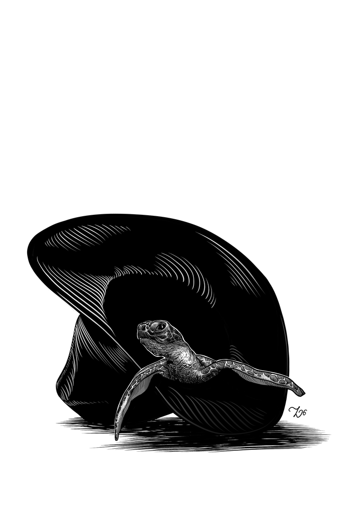 Терри Пратчетт