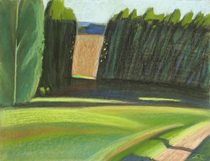 Лесная дорога 1. 