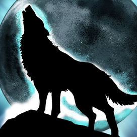 Волк (копия)