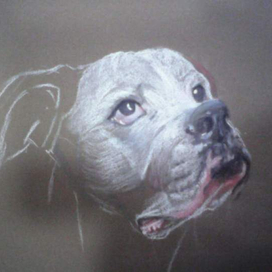 Любимая собака