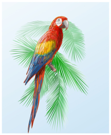 Попугай "Ara macao"