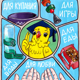 Комикс "Я хочу попугая"
