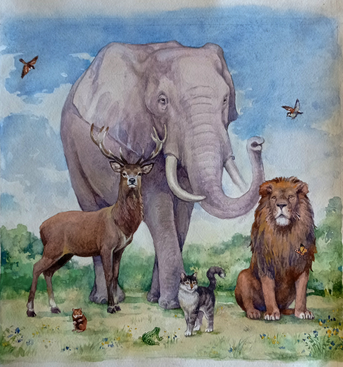 Кто как ест