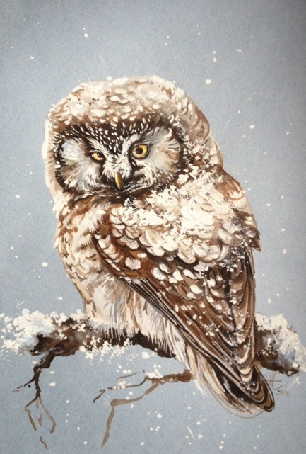 Припорошило (мохноногий сыч)