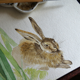 Процесс. Заяц Дюрера