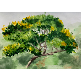 Дерево в желтых цветах