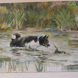 первая утка