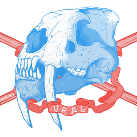 череп саблезубой кошки