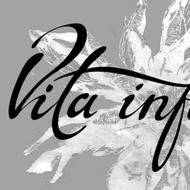 Вита Инфинита