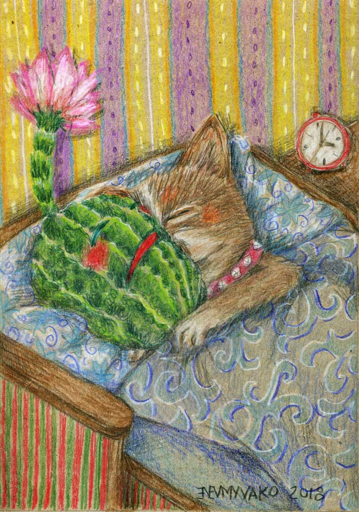 Продолжение Сказки про Кота и гриб