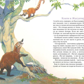 Коати и Жагуатирика  1