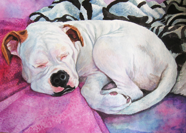 Розовые сны белой бульдожки