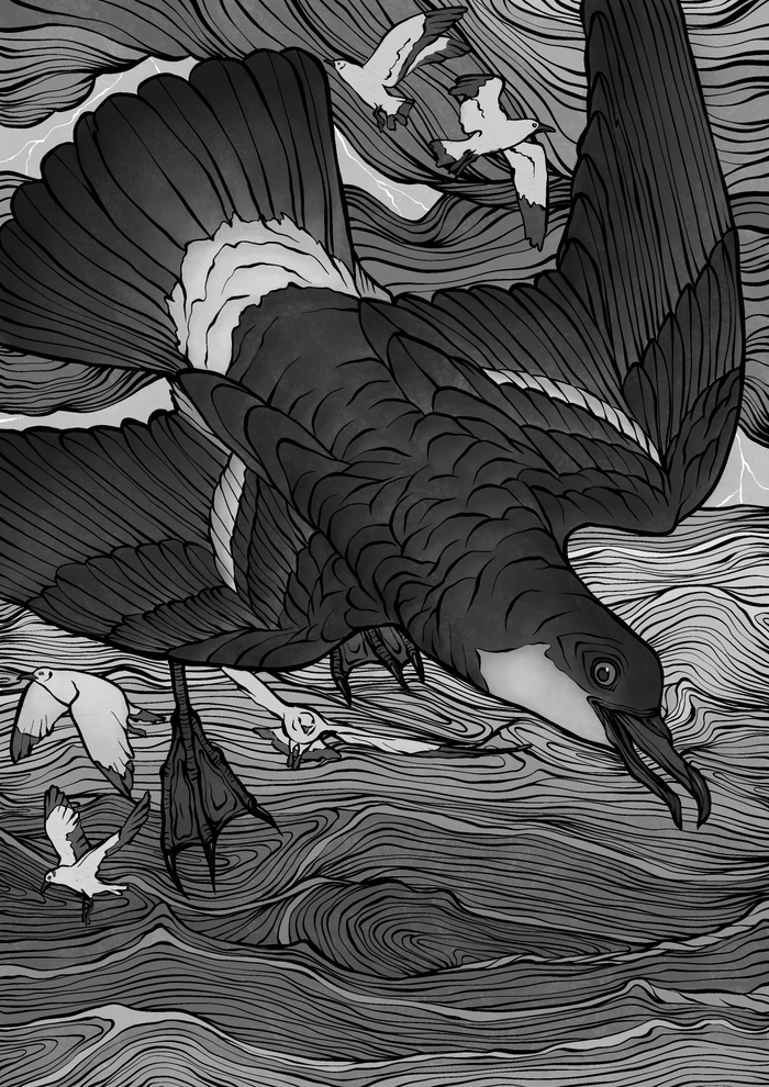 Песнь о буревестнике