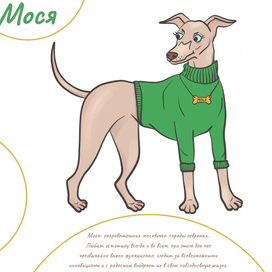 Создание персонажа для проекта Питомцы Москвы