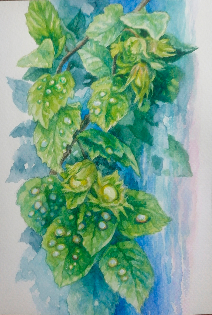 Дождь грибной и лесной орешник