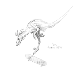 Raptor