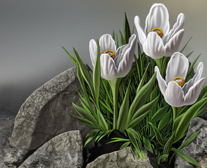 цветы-3-д фрагмент