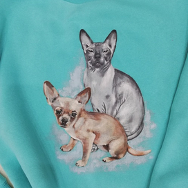 Рисую на одежде