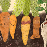 Огородные истории