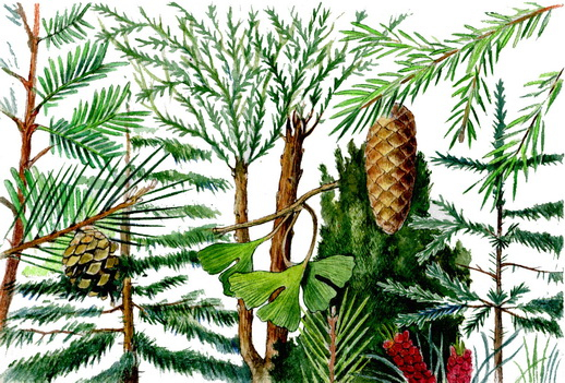 Рисунок  к учебнику