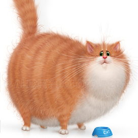 Бедный худенький котик...