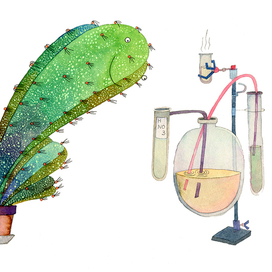  "Как исчез директор школы"