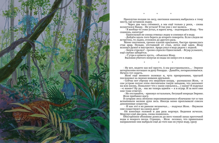 «Ягуар-гаримпейру» (16) 