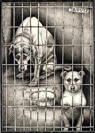 вы чьё, собачьЁ?