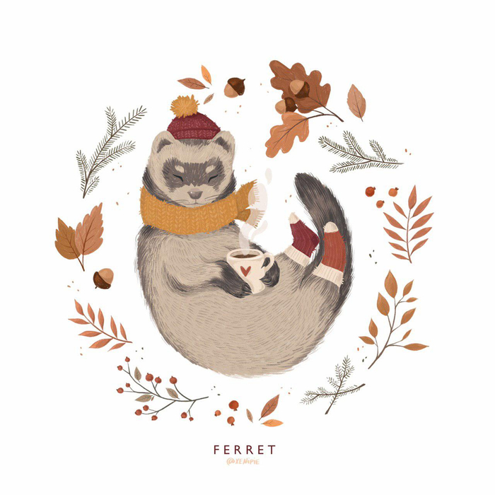 Хорек. Животные алфавит