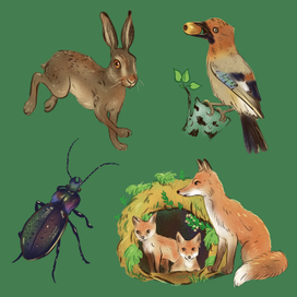 Лесная азбука, элементы