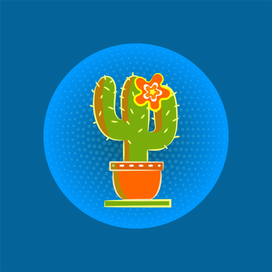 Кактус цветёт.