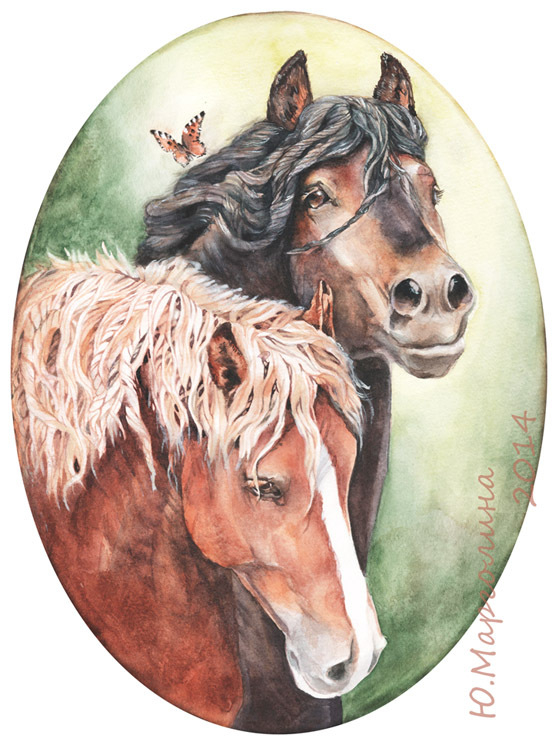 Белорусские упряжные. Митрофан и Гном