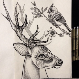 deer