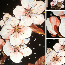 цветы сакуры