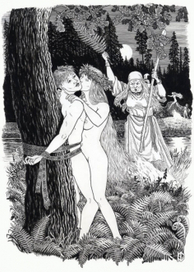 Папоротник