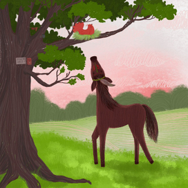 Знакомство 