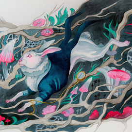 В погоне за белым кроликом