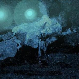 Искусство быть спящей посреди дороги...