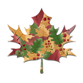 Привет, осень!