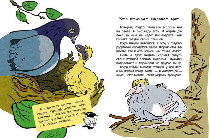 Кто без крыльев живет_05