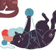 Характеры и породы кошек