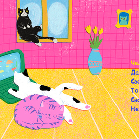 Чем хороша кошка