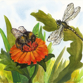 Стрекоза и шмель