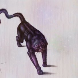 Волшебная кошка